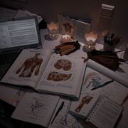 Science - Body Parts