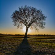 GCSE Eduqas A Geography