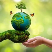 Ecologie