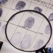 WJEC Unit 4 Criminology