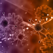 medical microbiology
