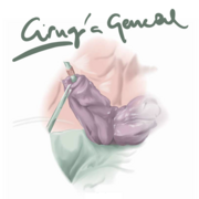 Cirugía General
