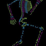 Class 11 Biology