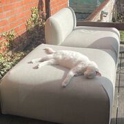 Anatomie En Fysiologie 2