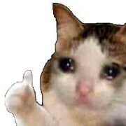 My Pharm 2: Unit 5 from HeraS24