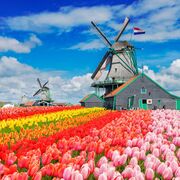 Nederlands