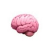 psychology- issues and debates