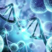 Biology - Topic 4 - Bioenergetics 🦠