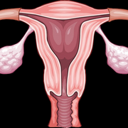 Sexualidad, Genero y Reproducción