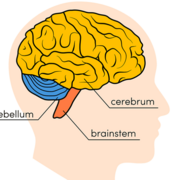 Biology
