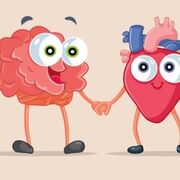 Anatomy & Physiology