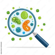 Microbiology