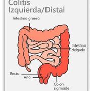 gastro