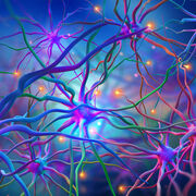 Neurology articles