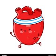 Cardiovascular