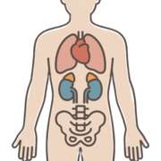 virologia exame 2