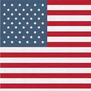 1.5: In Search Of The American Dream: The USA, 1917-96 - The Impact Of The Reagan Presidency, 1981-96