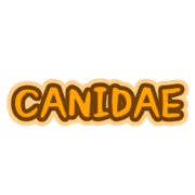 Canidae [Extant]