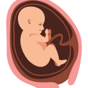 MIR Obstetricia