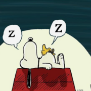 PSYCH U4- SLEEP
