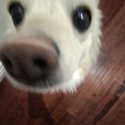 Topic 3 - Cells and Microorganisms