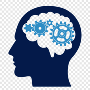 Psychology (All Years)