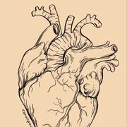 Med Terminology (Julie<3)