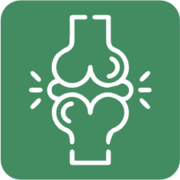 ANATOMIA - ARTICULAÇÕES