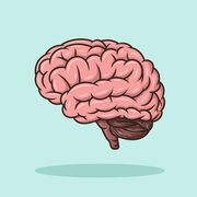 Neurobiología
