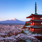 Japanese
