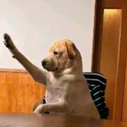 Ethics - prelims