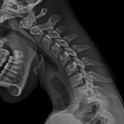Imaging Anatomy - RADI1225