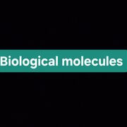 Biology topic 1 biological molecules