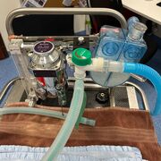 Anaesthesia - 637