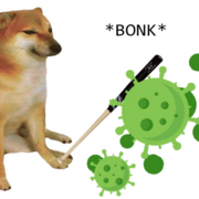 Infections n Stuff