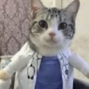 intro to public health