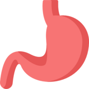 9. Digestivo