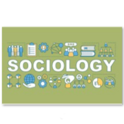 A Level Sociology Homework