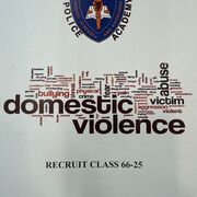 Domestic Violence