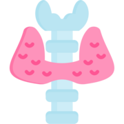 91. Endocrino
