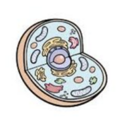 biology