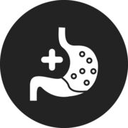 4. Gastroenterologie (Herold 2023)