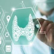 MMD 2114 (endocrino)