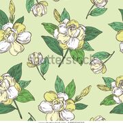 FRENCH-speaking vocab