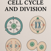 Botany:Ch-2: Cell Cycle And Division