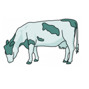 MODULE 21 - Ruminant Production