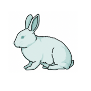 MODULE 22 - Skin, Eyes, Exotics, Wildlife and Zoo