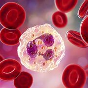 AES 13 Hematologia I