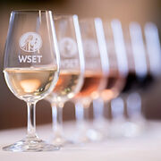D3 WSET Level 4 2025