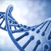 MOLECULAR BASIS OF INHERITANCE